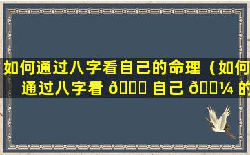 如何通过八字看自己的命理（如何通过八字看 🐟 自己 🐼 的命理好不好）